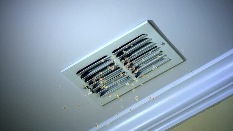 Best Best Air Duct Cleaning Company  in Fordyce, AR